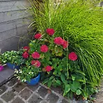 Bed & Breakfast Sweet 9g Sprimont