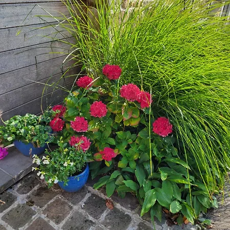 Bed & Breakfast Sweet 9g Sprimont